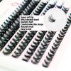 Upgraded Version: 30D+40D Self-Adhesive Eyelash Extension Kit by CSL